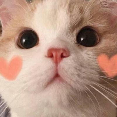 Phạm Hoàng Việt avatar